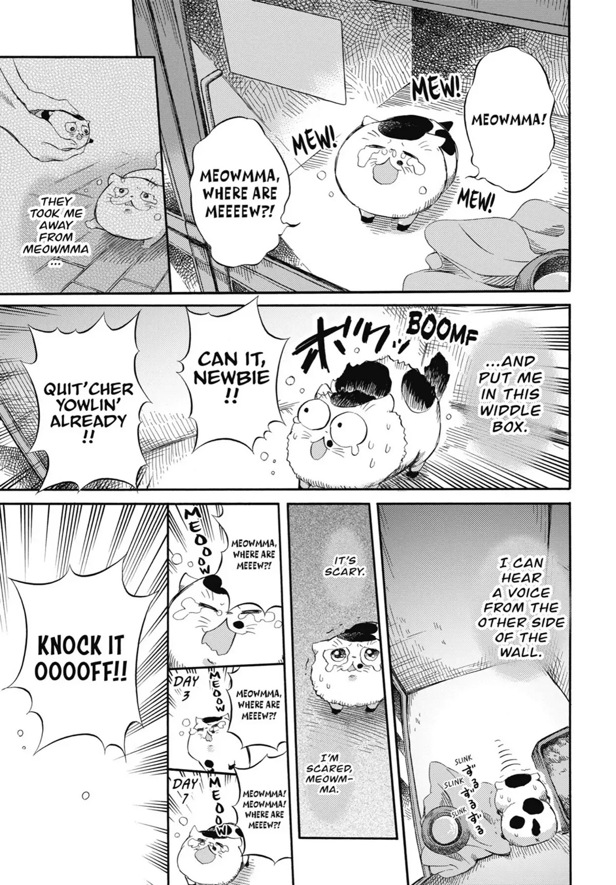 Ojisama to Neko Chapter 47 page 2 - Chapter 47: The Beat-Up Maine Coon