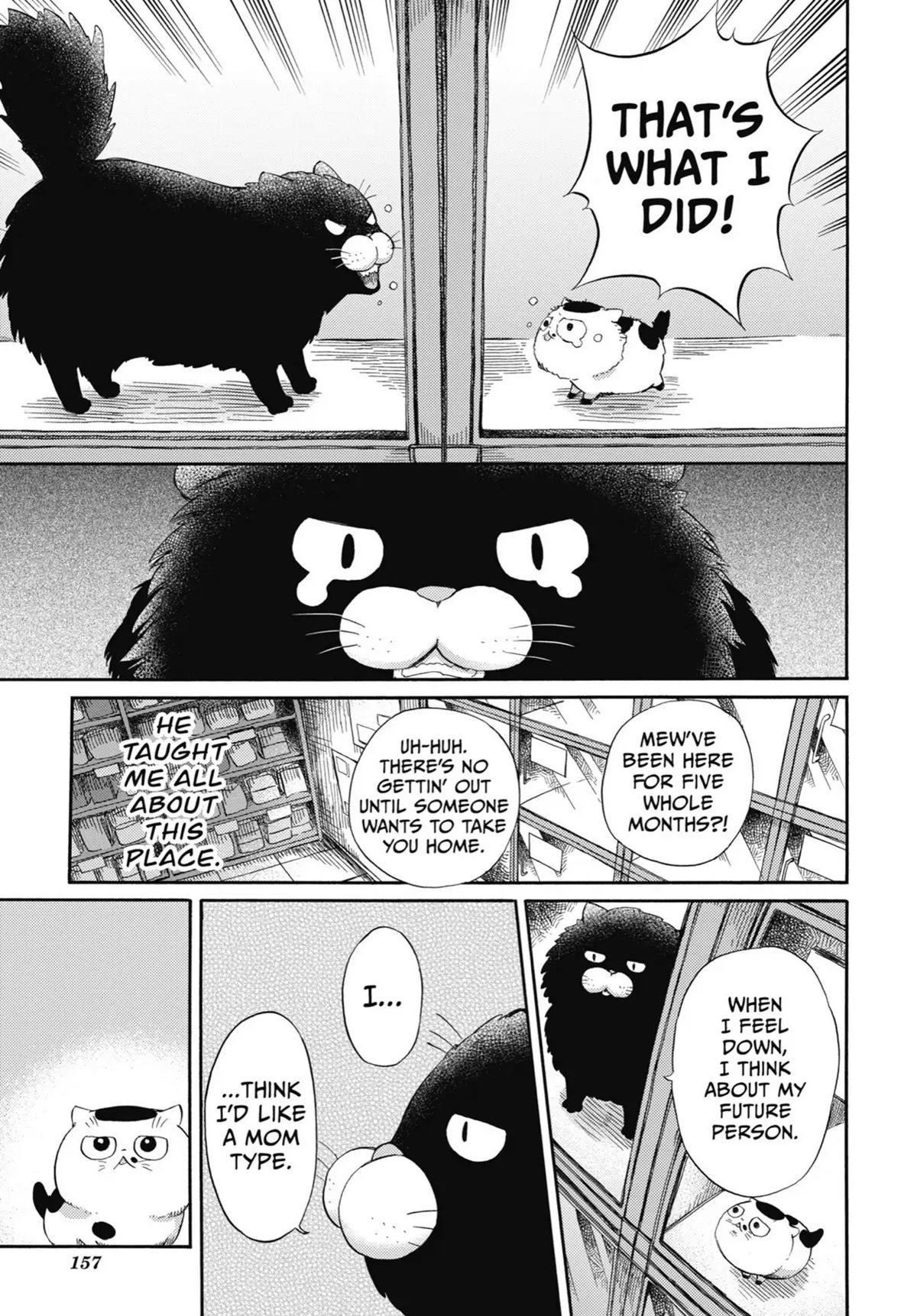 Ojisama to Neko Chapter 47 page 4 - Chapter 47: The Beat-Up Maine Coon
