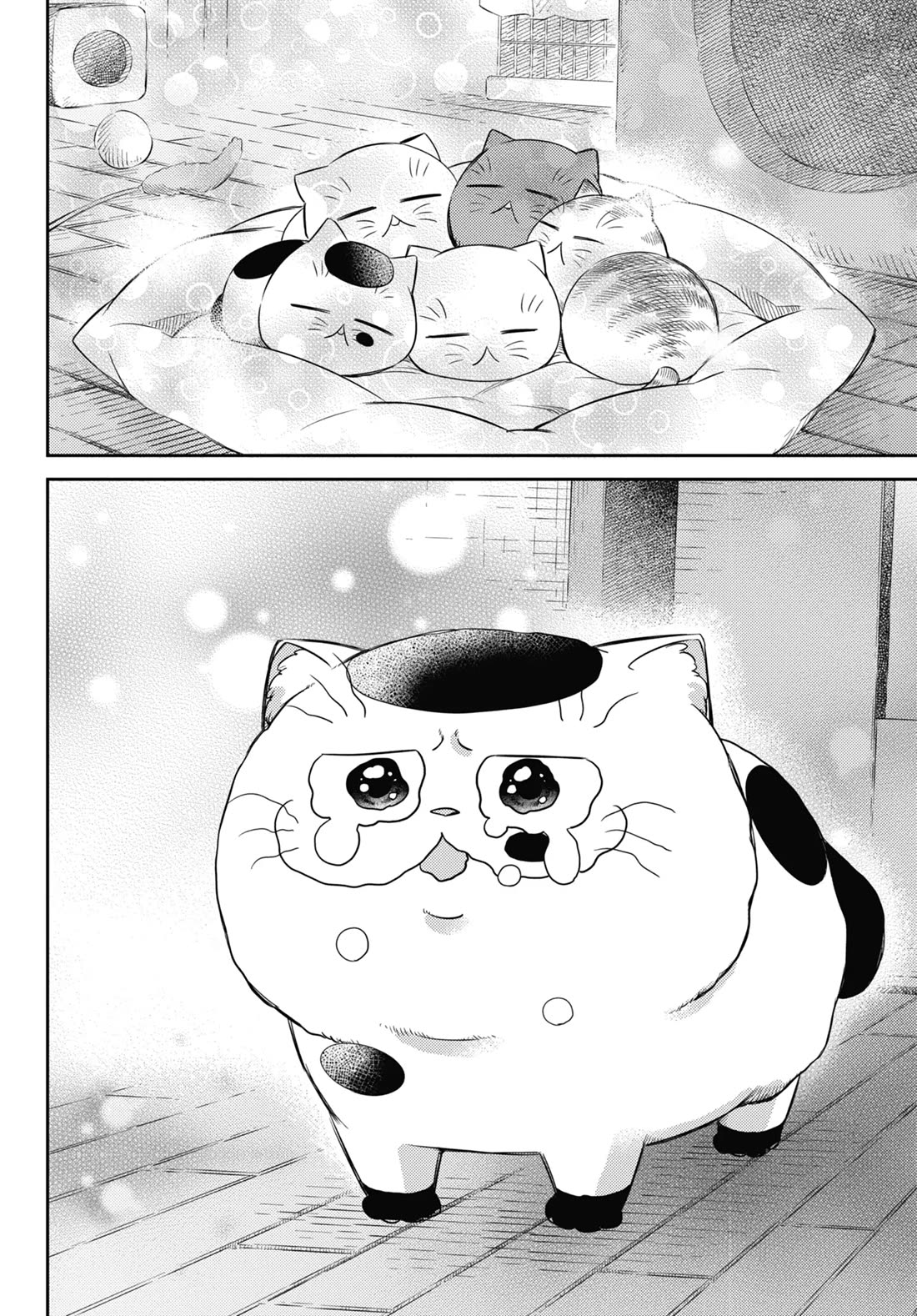 Ojisama to Neko Chapter 82 page 14 - Chapter 82