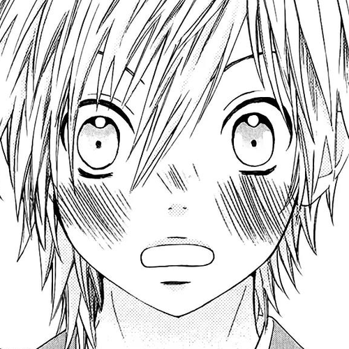 Ojousama wa Oyomesama Chapter 12.5 cover