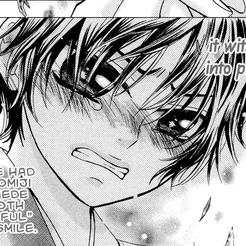 Ojousama wa Oyomesama Chapter 26.5 cover