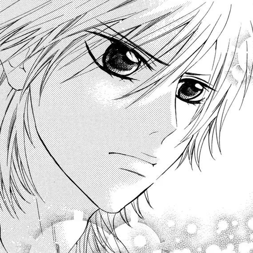 Ojousama wa Oyomesama Chapter 3 cover