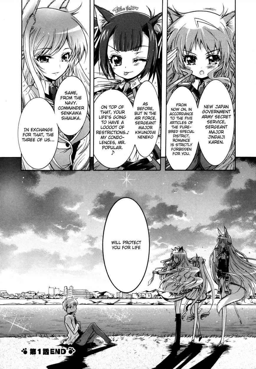 Okasu Bekarazu!! Junketsu Tokku! Chapter 1 page 32 - Chapter 1