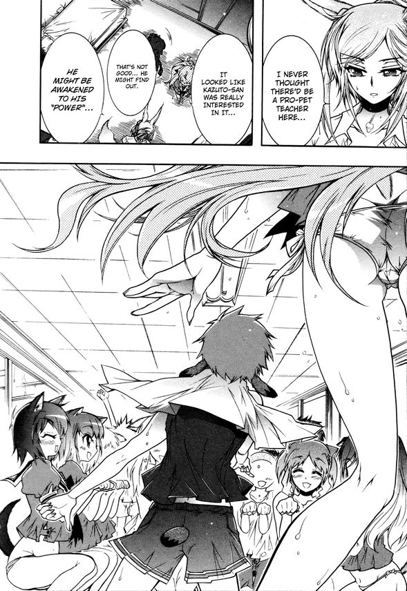 Okasu Bekarazu!! Junketsu Tokku! Chapter 14 page 18 - Chapter 14 : How to be a Pet