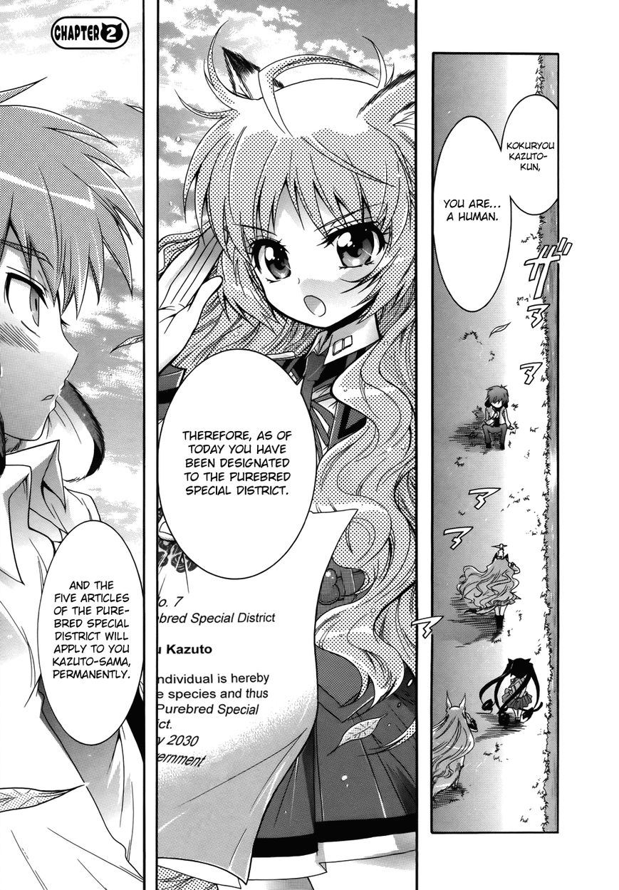 Okasu Bekarazu!! Junketsu Tokku! Chapter 2 page 2 - Chapter 2