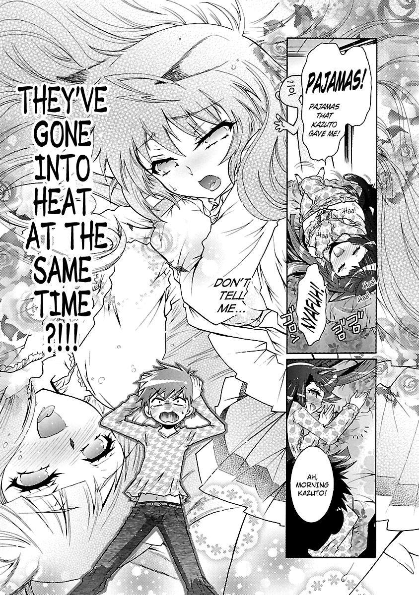 Okasu Bekarazu!! Junketsu Tokku! Chapter 26 page 14 - Chapter 26 : Take in the Dog (or Cat)