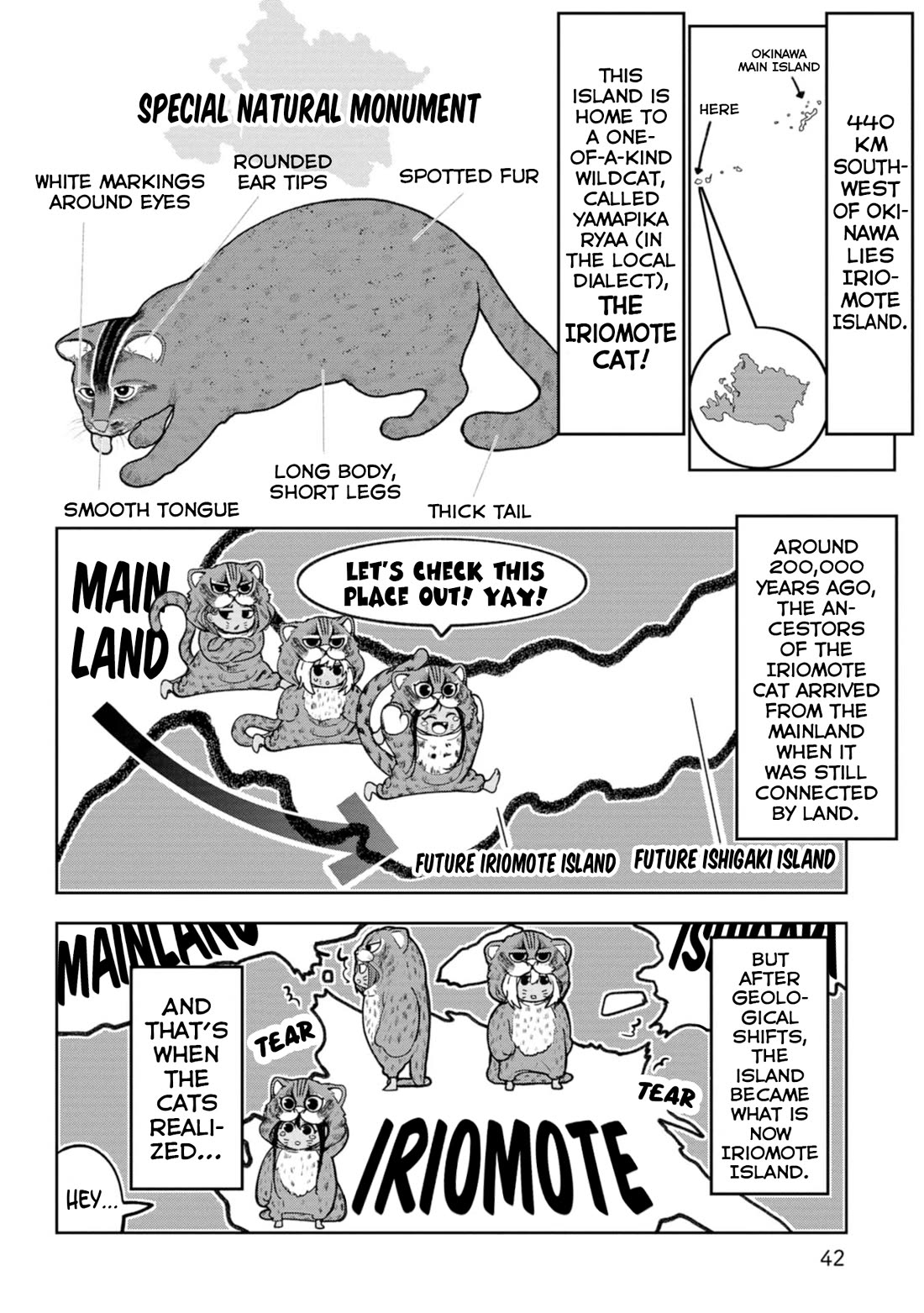 Okinawa de Suki ni Natta Ko ga Hougen Sugite Tsura Sugiru Chapter 32 page 3 - Chapter 32: Yamapikaryaa (Iriomote Cat)