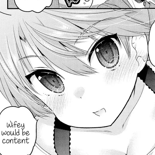 Okusama ga Seito Kaichou! Chapter 63.5 cover