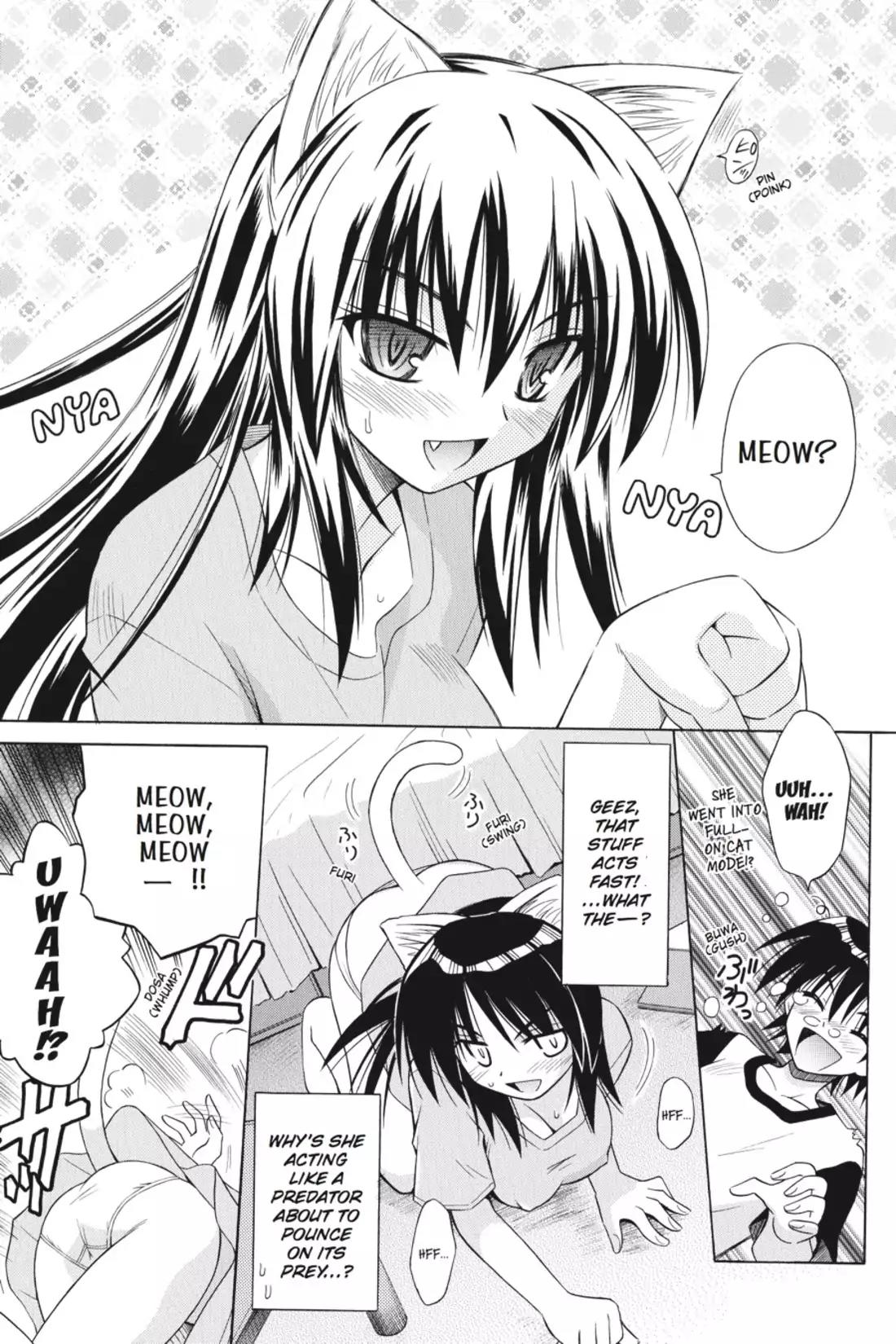 Omamori Himari Chapter 20 page 19 - Chapter 20: Vol.4 Menagerie 20: Cruel Kitty Paranoia