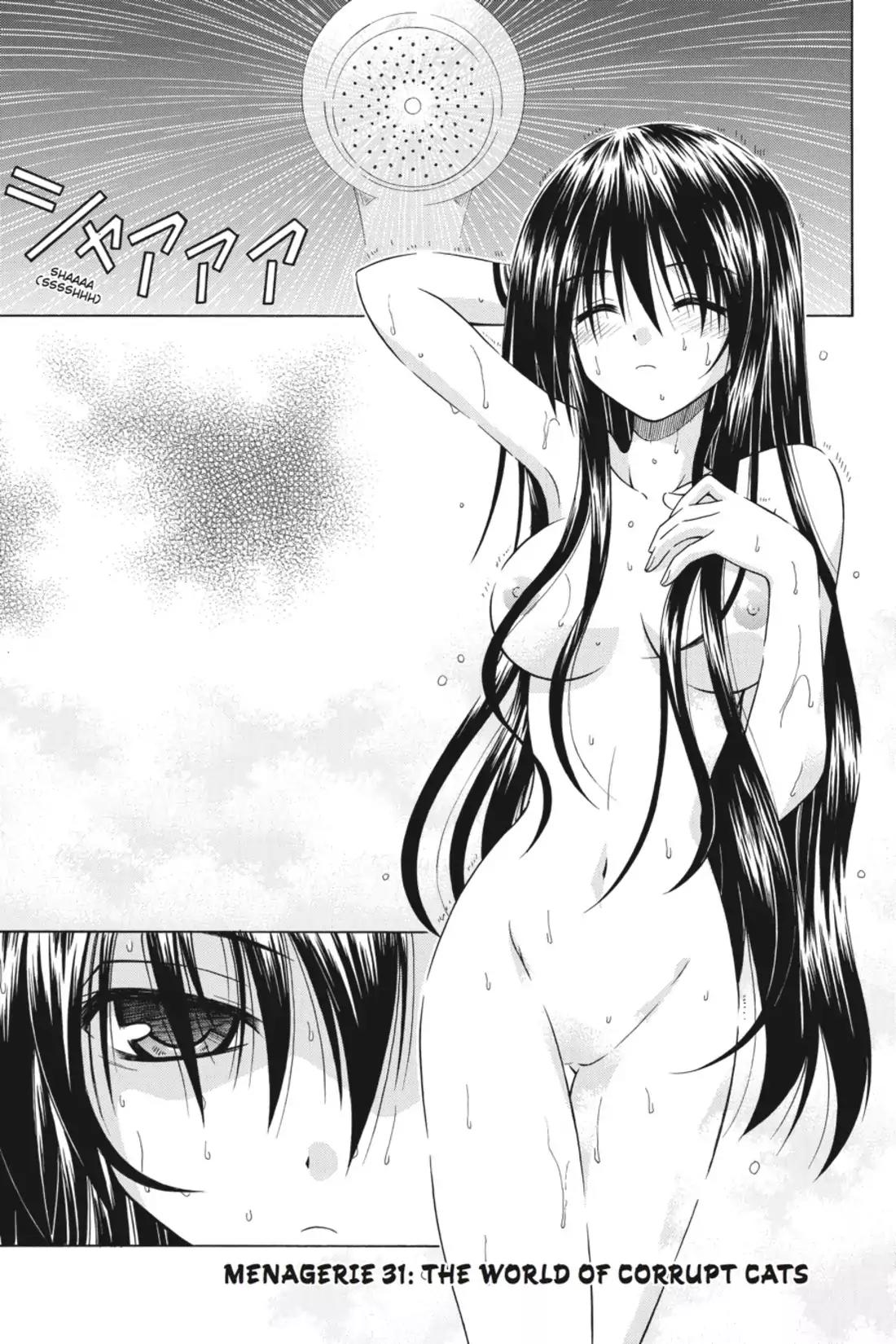 Omamori Himari Chapter 31 page 1 - Chapter 31: Vol.6 Menagerie 31: The World of Corrupt Cats