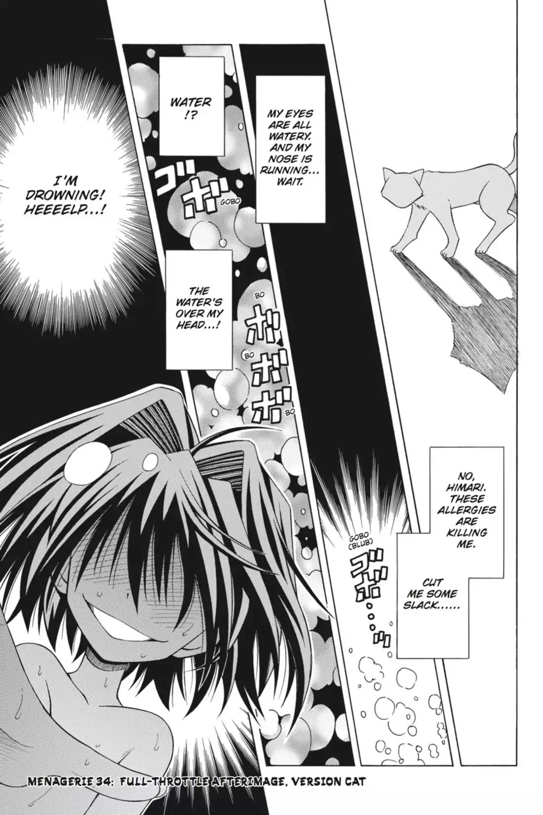 Omamori Himari Chapter 34 page 1 - Chapter 34: Vol.6 Menagerie 34: Full-Throttle Afterimage, Version Cat
