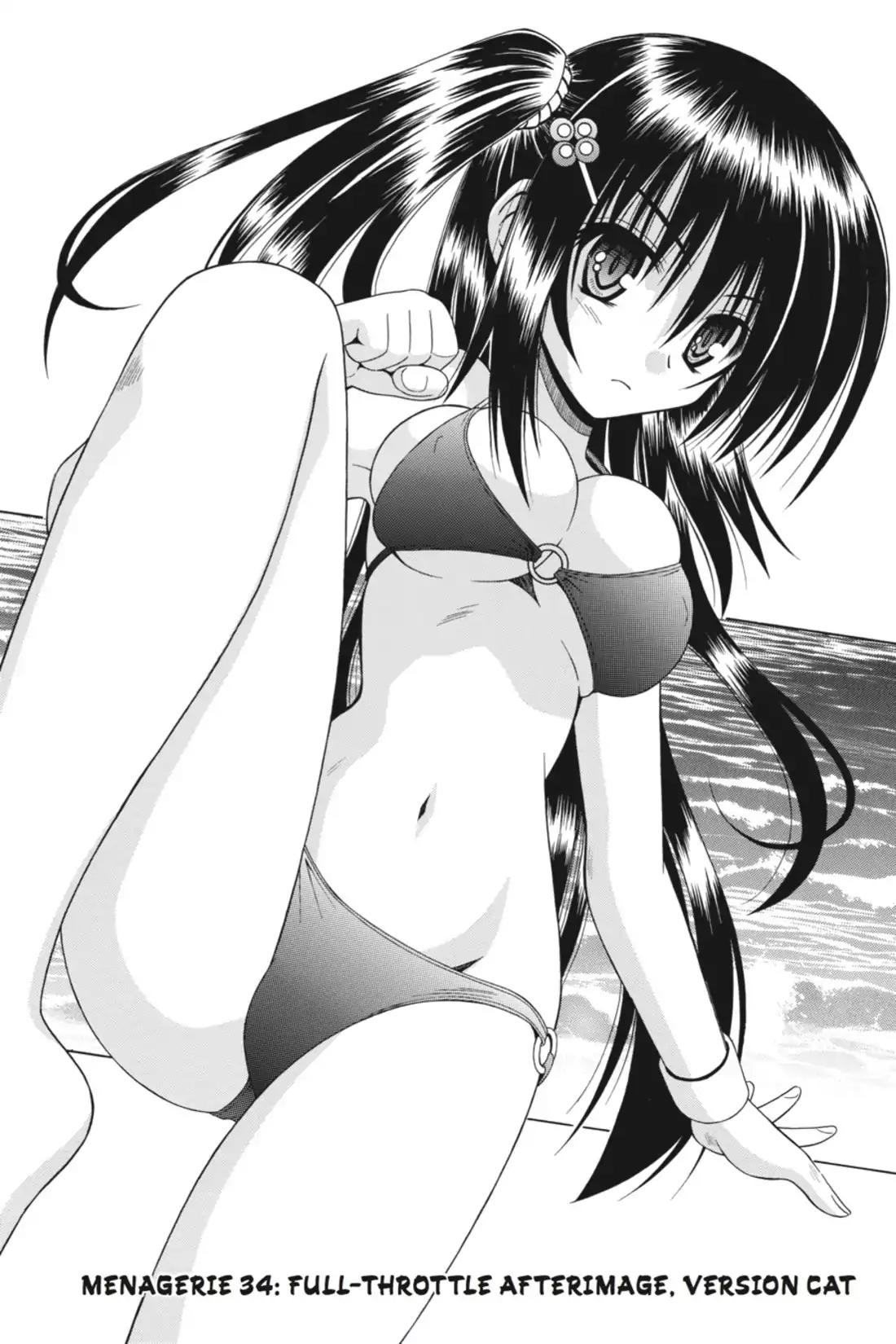 Omamori Himari Chapter 34 page 2 - Chapter 34: Vol.6 Menagerie 34: Full-Throttle Afterimage, Version Cat