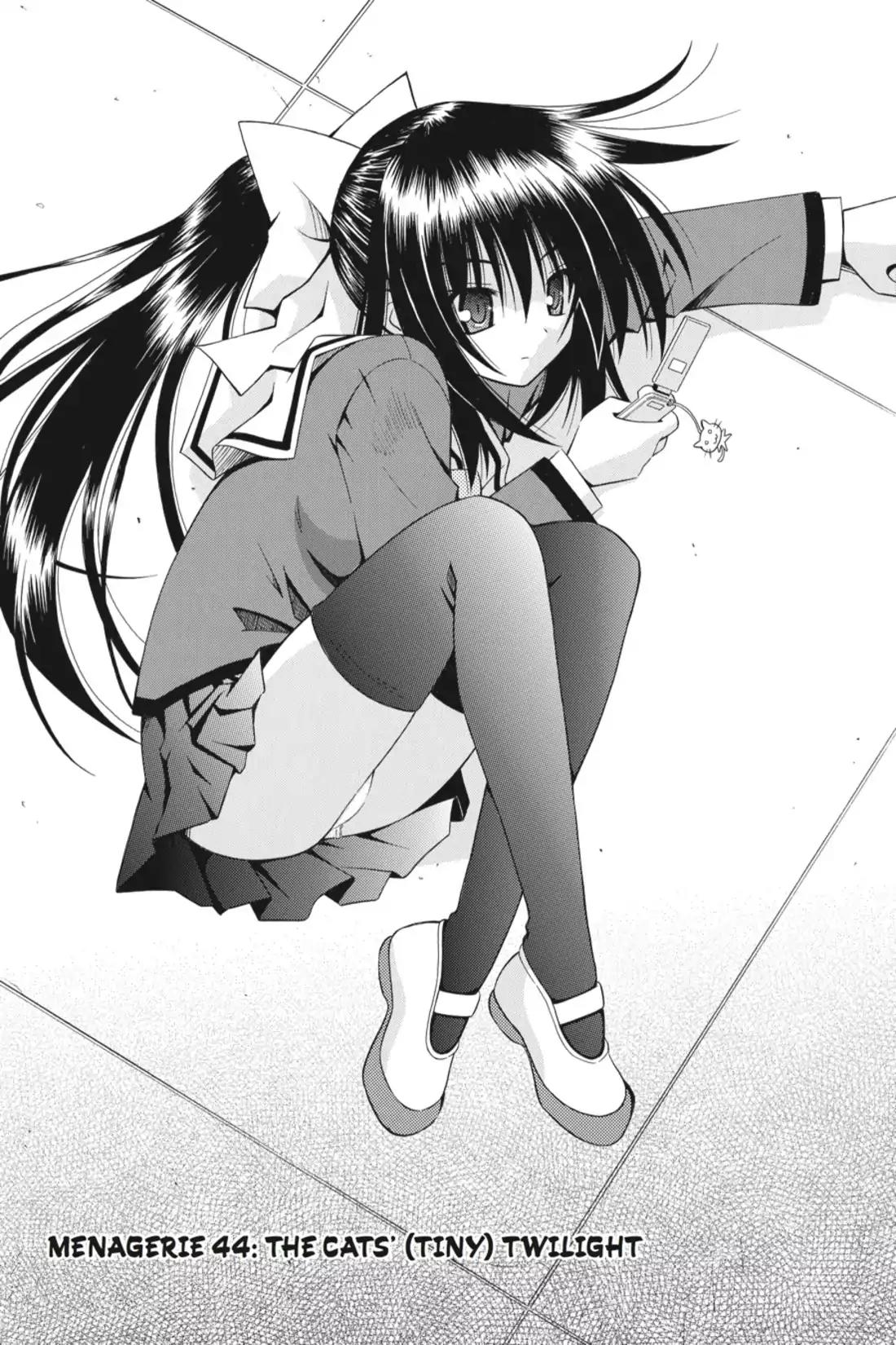 Omamori Himari Chapter 44 page 1 - Chapter 44: Vol.8 Menagerie 44: The Cats' (Tiny) Twilight