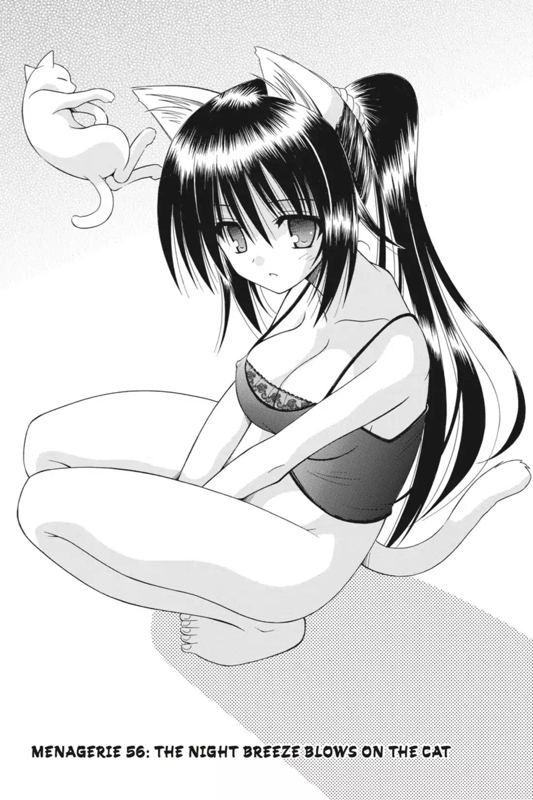 Omamori Himari Chapter 56 page 9 - Chapter 56: Vol.10 Menagerie 56: The Night Breeze Blows on the Cat