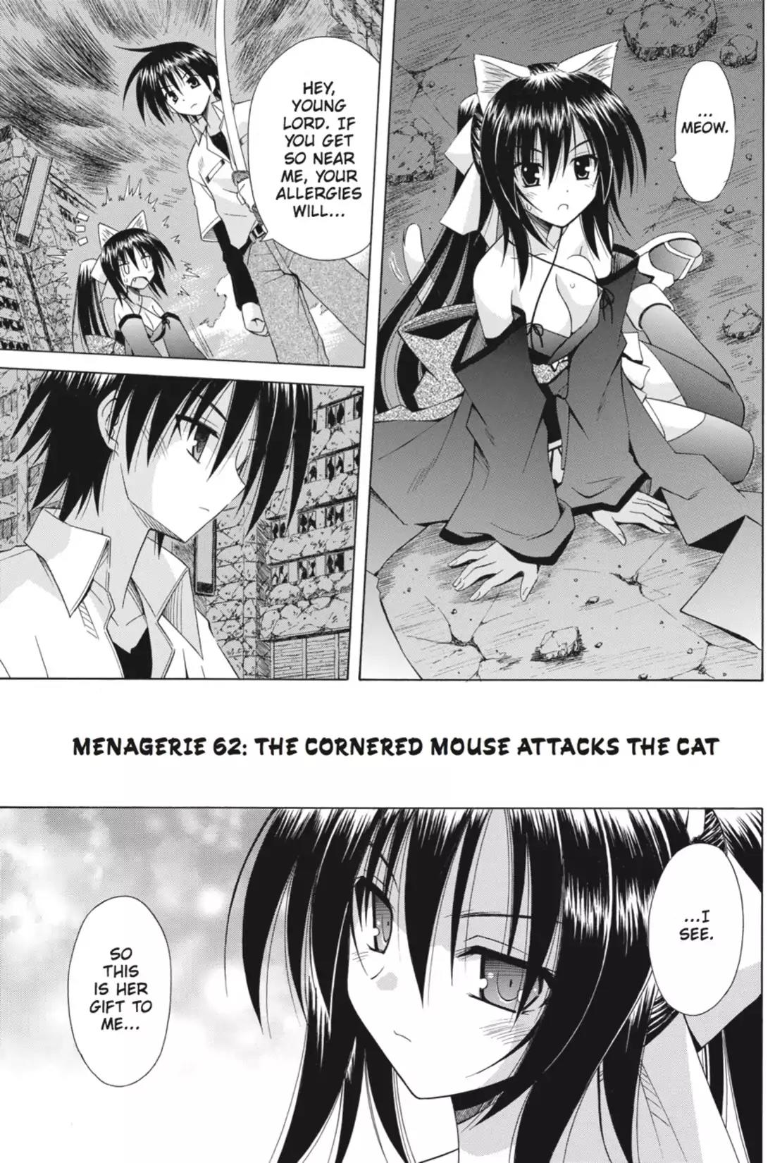 Omamori Himari Chapter 62 page 1 - Chapter 62: Vol.10 Menagerie 62: The Cornered Mouse Attacks the Cat