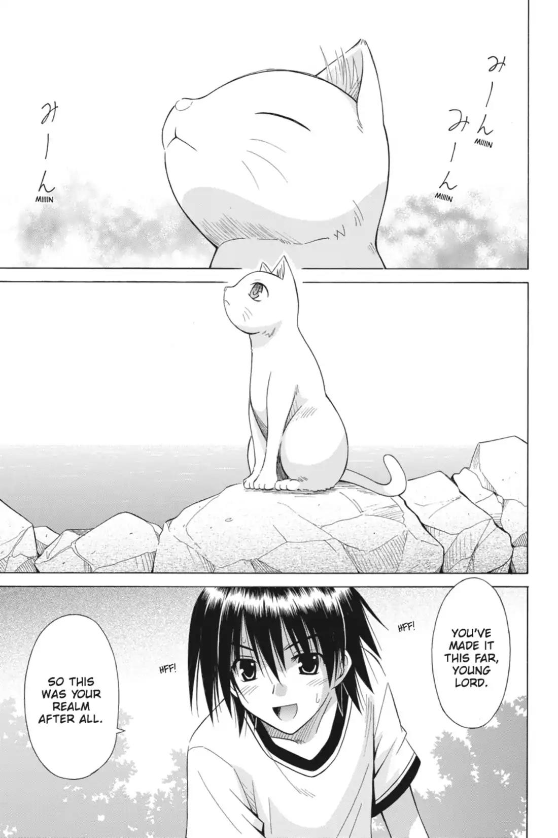 Omamori Himari Chapter 73 page 17 - Chapter 73: Vol.12 Menagerie 73: Phantasmagoria in White Cat