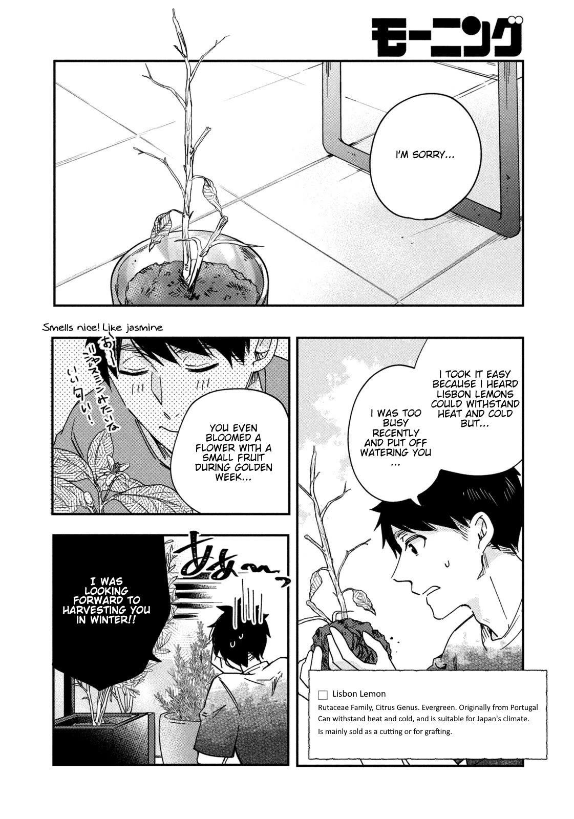 On the Balcony Again Today Chapter 2 page 6 - Chapter 2: Dracaena Massangeana