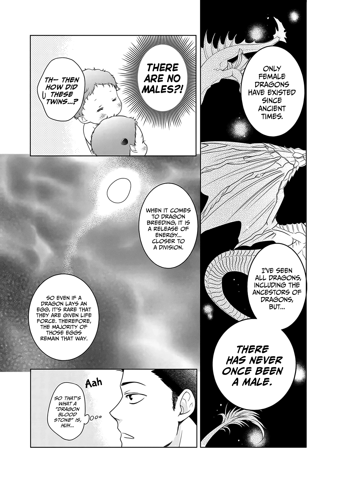 On The Way Home, I Got A Bride And Twin Daughters, But They Were Dragons Chapter 3 page 4 - Chapter 3