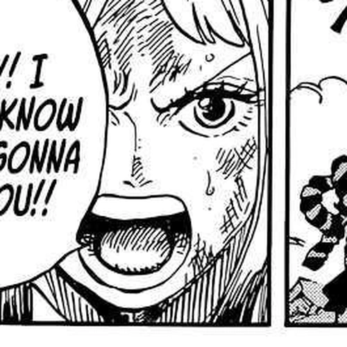 One Piece Chapter 1016: This is O-Tama!! cover