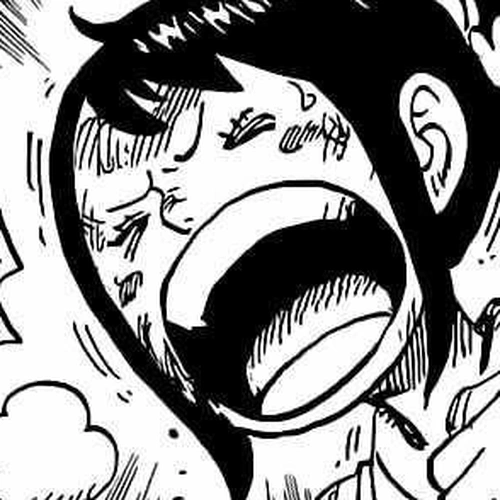 One Piece Chapter 1017: The Order cover