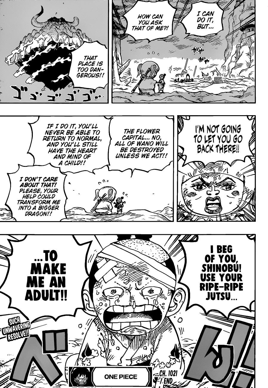 One Piece manga, chapter 1021, page 17 of 20