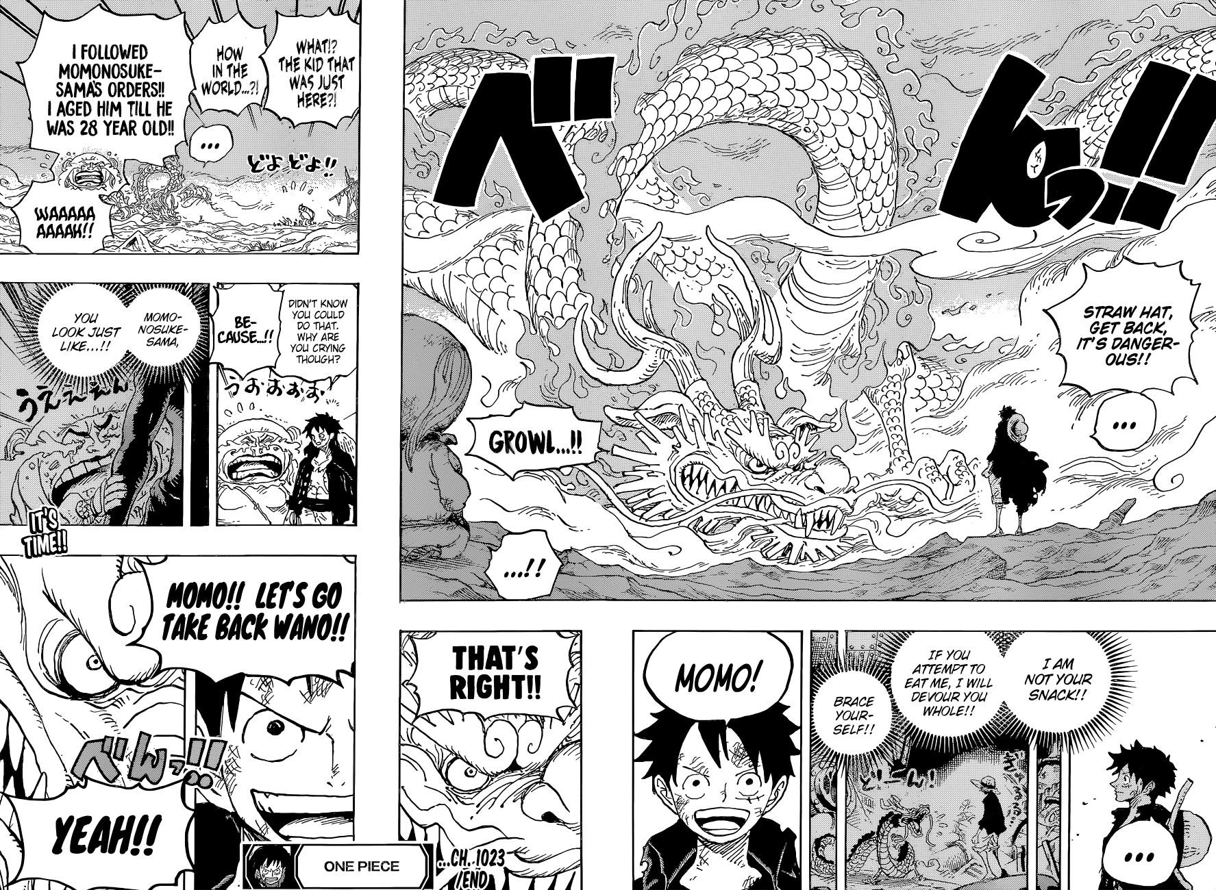 One Piece Chapter 1023 page 17 - Chapter 1023: Two Peas in a Pod