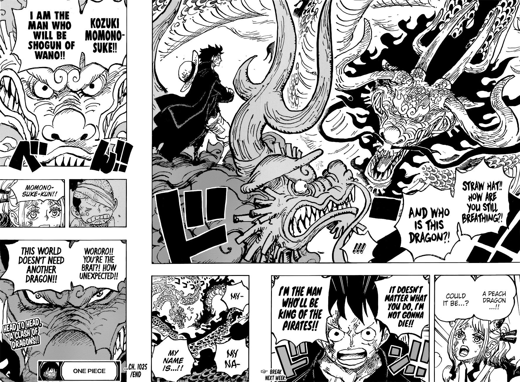 One Piece Chapter 1025 page 16 - Chapter 1025: Twin Dragons Painting
