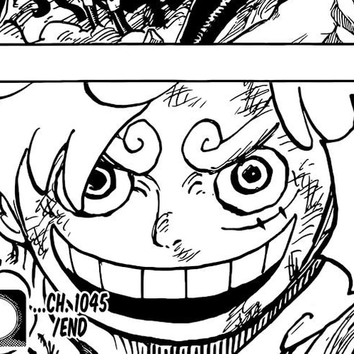 One Piece Chapter 1045: Next Level cover