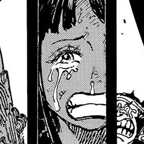 One Piece Chapter 1048: Twenty Years cover