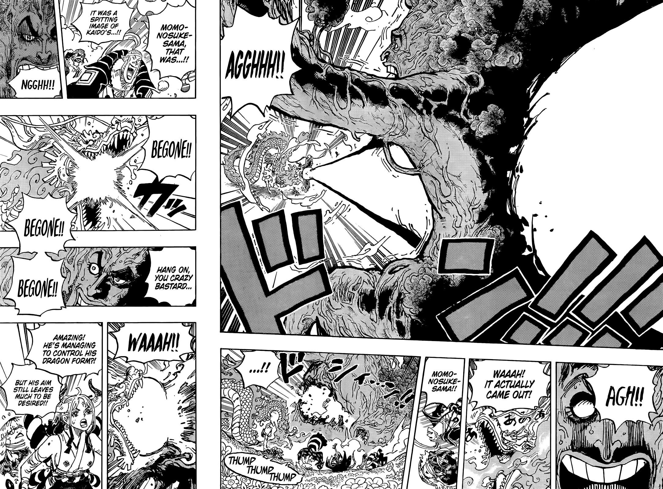 One Piece Chapter 1055 page 14 - Chapter 1055: The New Era