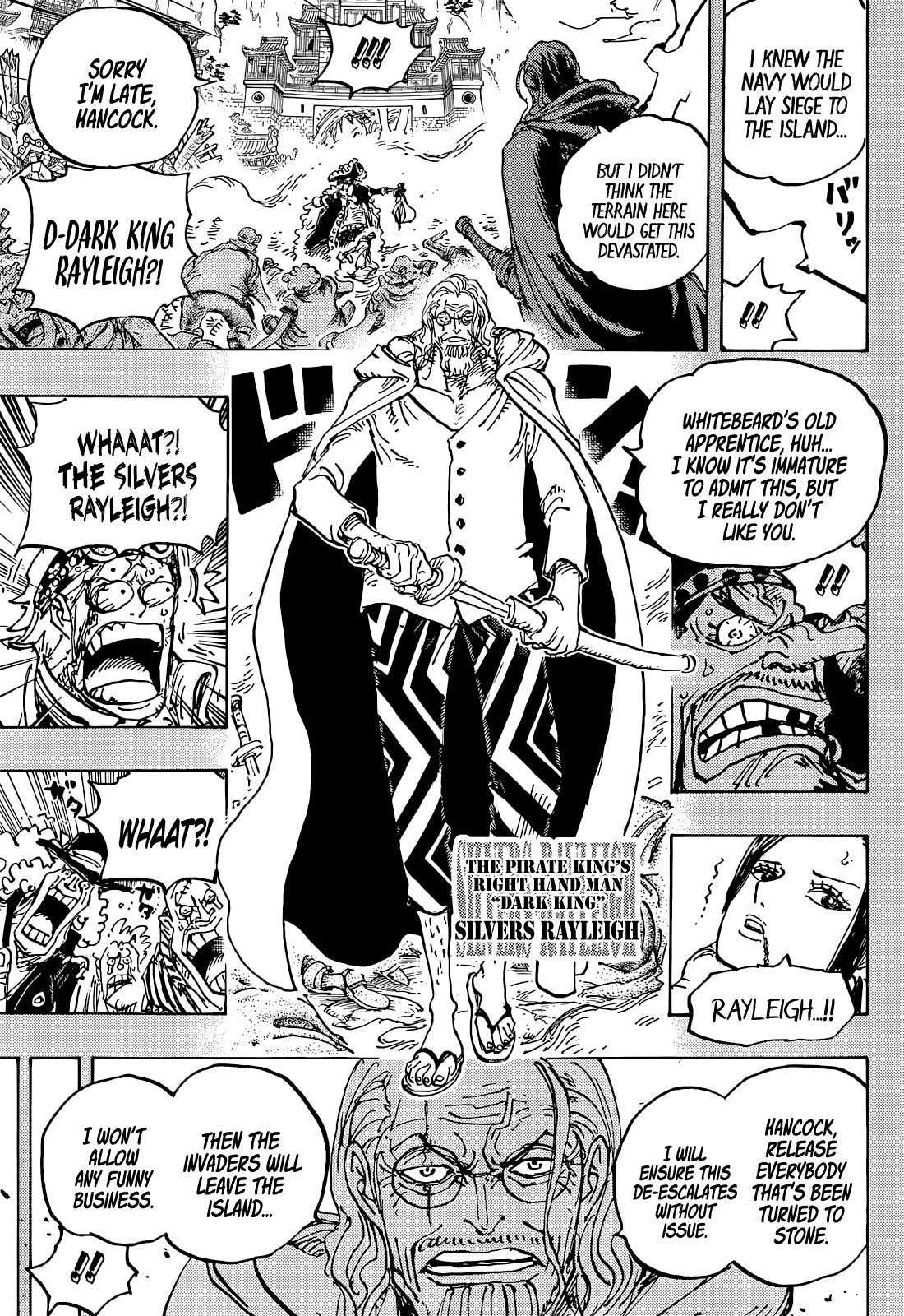 One Piece Chapter 1059 page 14 - Chapter 1059: The Matter Involving Captain Koby