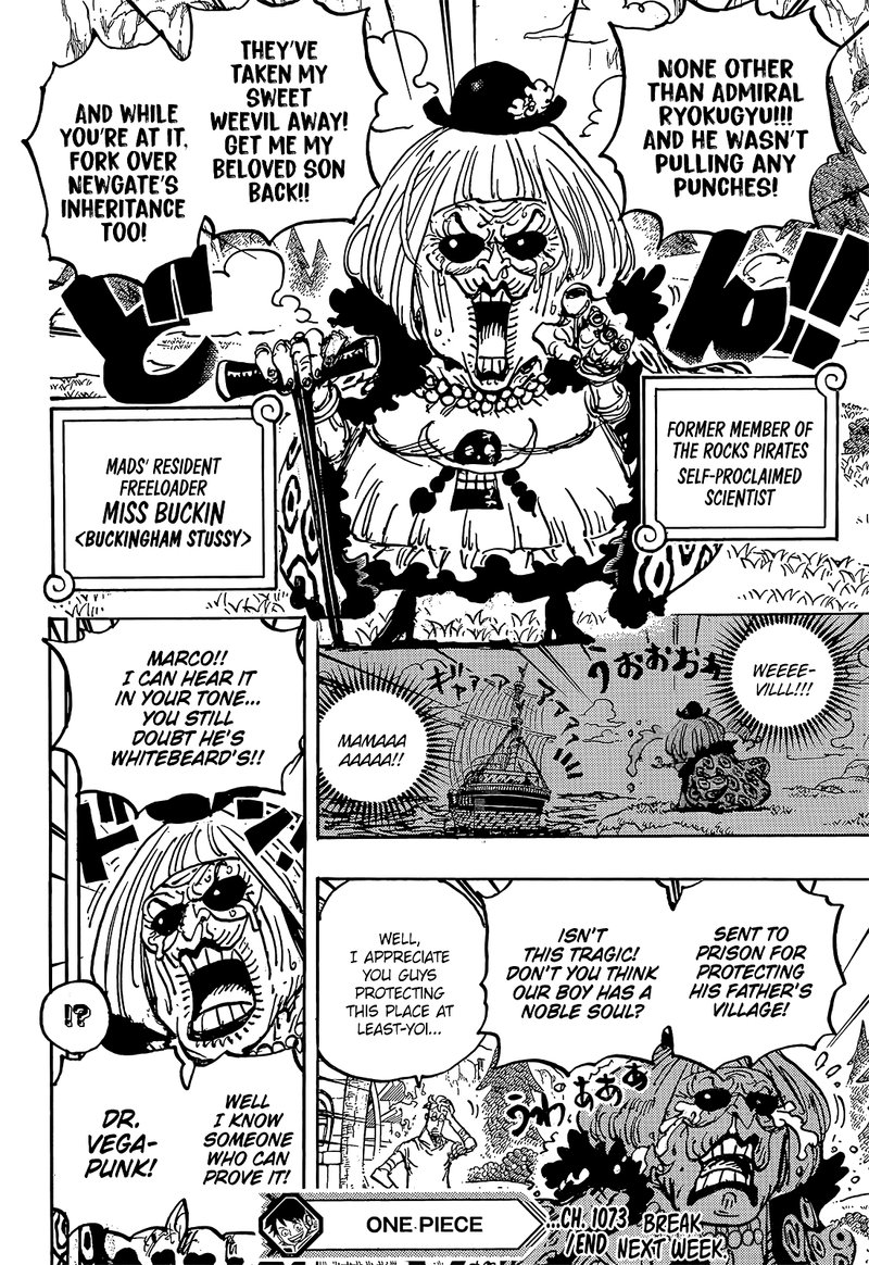 One Piece Chapter 1073 page 14 - Chapter 1073: Miss Buckingham Stussy