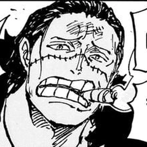 One Piece Chapter 1082: Let's Go and Take It!! cover