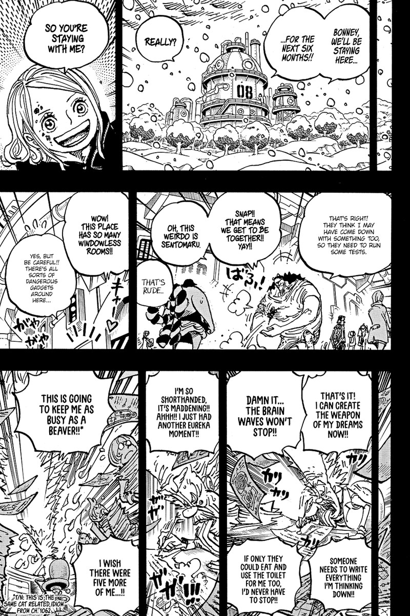 One Piece Chapter 1100 page 9 - Chapter 1100: Thank You, Bonney