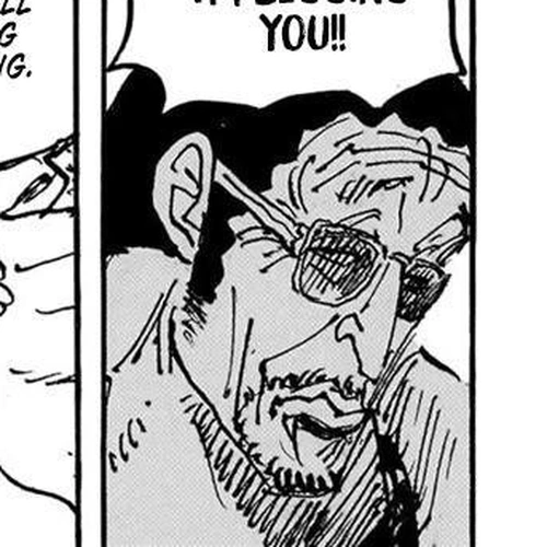 One Piece Chapter 1105: The Height Of Folly cover