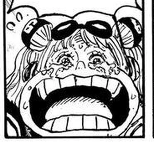 One Piece Chapter 1111: Sun-Shield cover