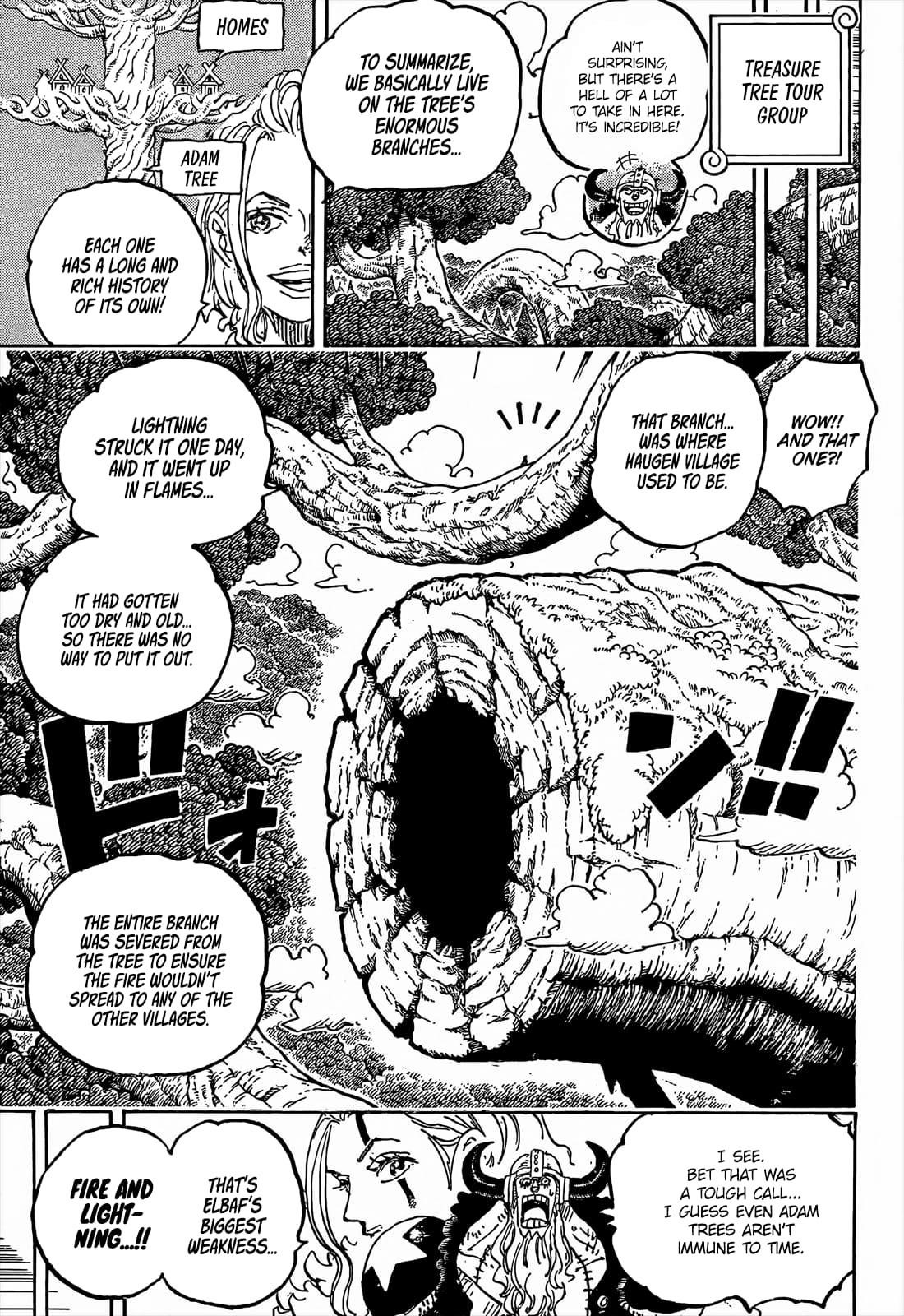 One Piece Chapter 1141 page 3 - Chapter 1141: An Older Woman