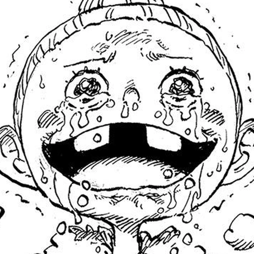 One Piece Chapter 1148: Ronja cover