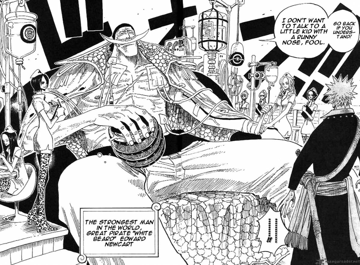 One Piece manga, chapter 234, page 13 of 21