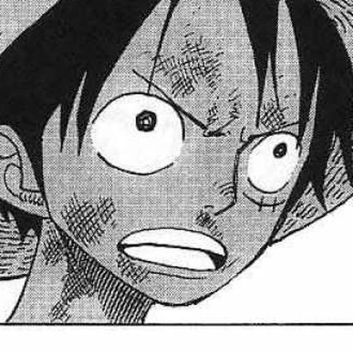 One Piece Chapter 252: Junction cover
