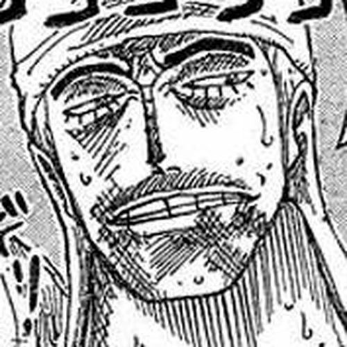 One Piece Chapter 284: Sorry cover