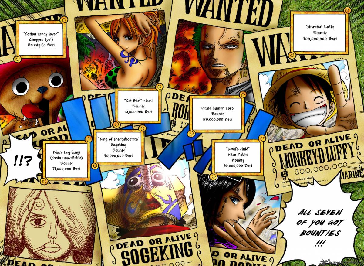 One Piece Chapter 435 page 17 - Chapter 435: You Have My Sympathies