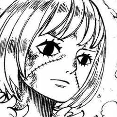 One Piece Chapter 481: Shadow's Asgard cover