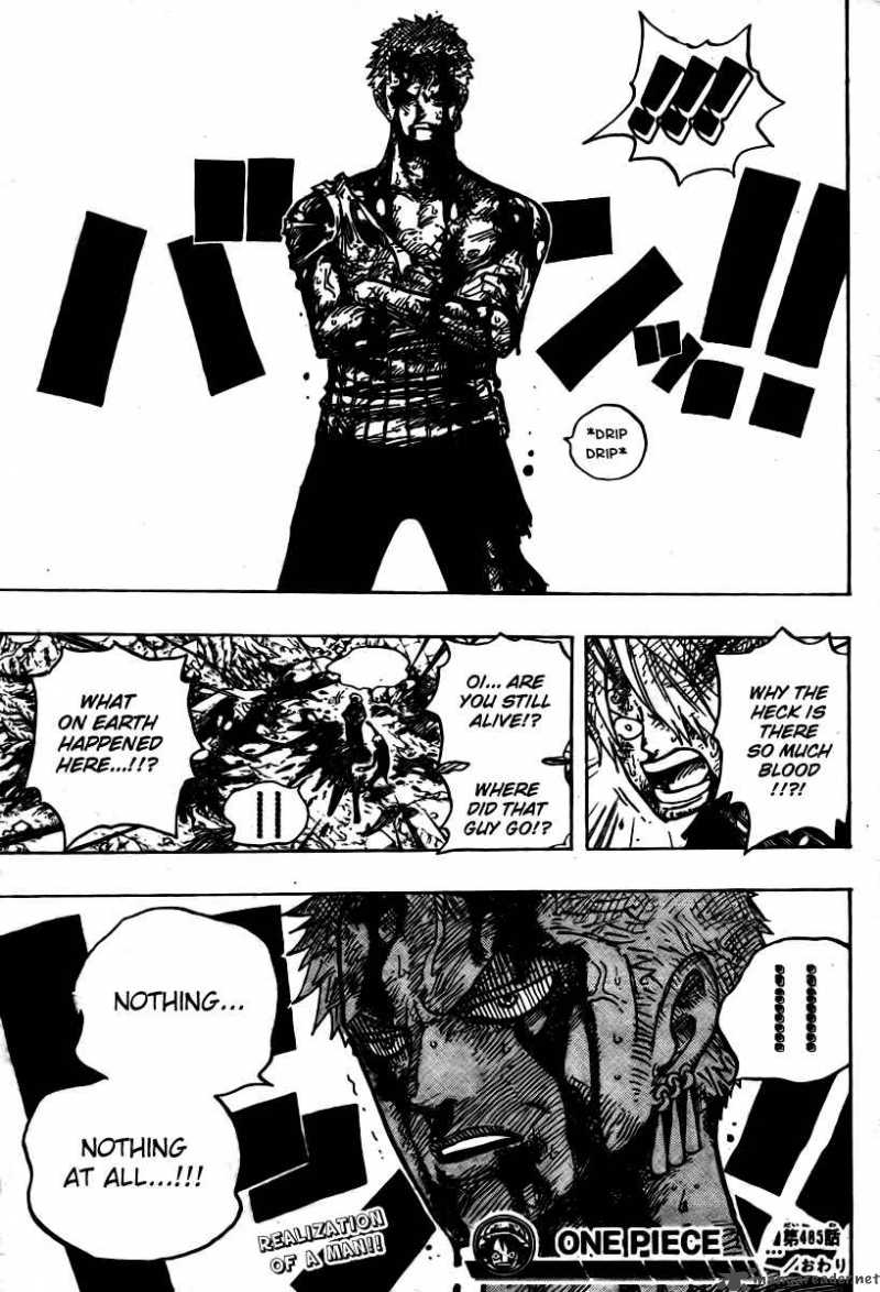 One Piece Chapter 485 page 19 - Chapter 485: Straw Hat Pirates - Pirate Hunter Zoro