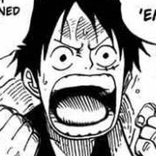 One Piece Chapter 493: You Know Me cover