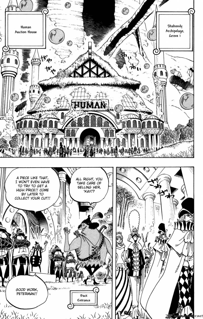 One Piece Chapter 500 page 13 - Chapter 500: The Embers of History