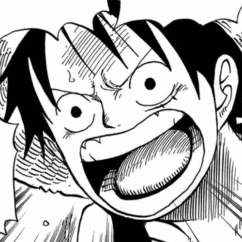 One Piece Chapter 500: The Embers of History cover