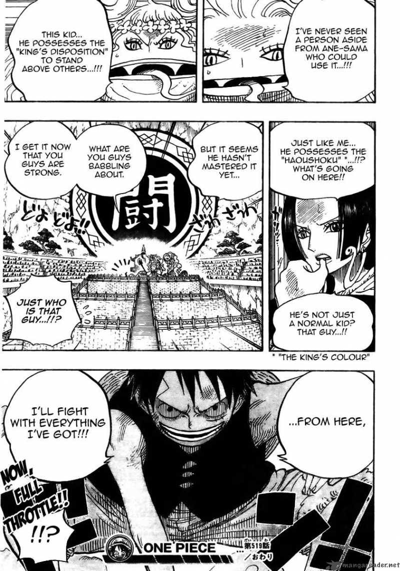 One Piece Chapter 519 page 19 - Chapter 519: A King's Disposition