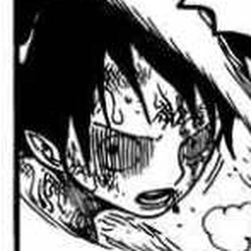 One Piece Chapter 535: Friend cover
