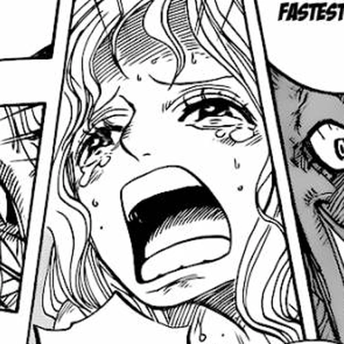 One Piece Chapter 639: Protect Everything cover